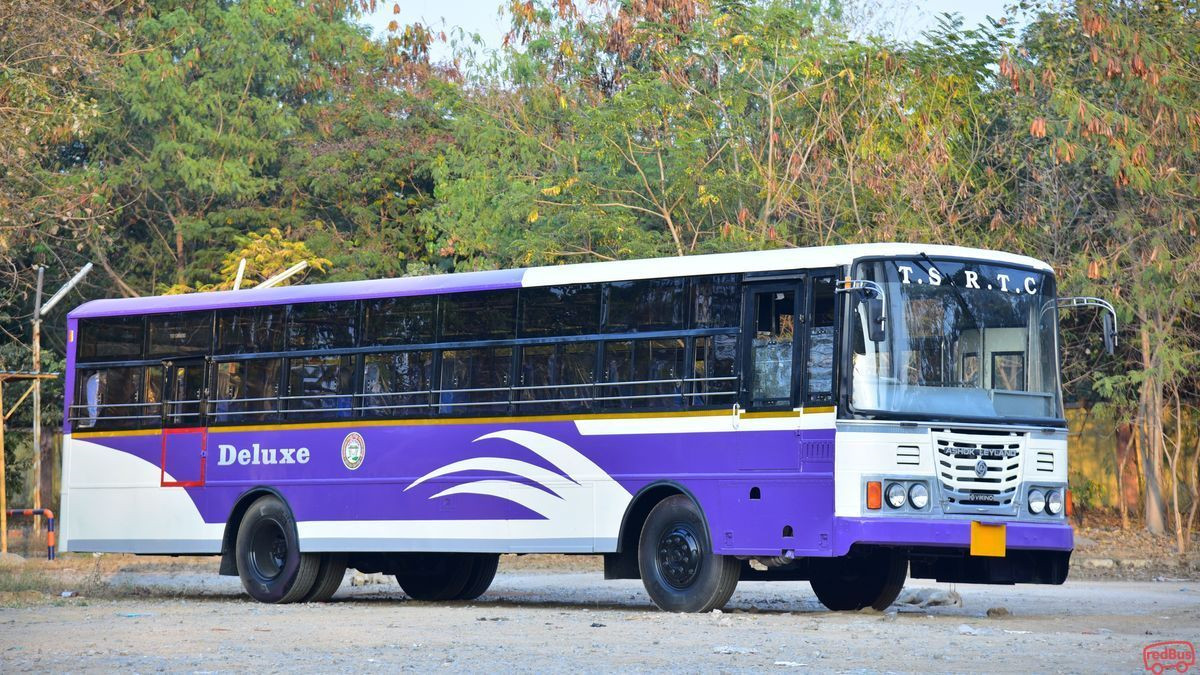 పుణ్యక్షేత్రాల దర్శనానికి టీఎస్‌ఆర్టీసీ ప్రత్యేక బస్సులు – భక్తుల కోసం ఆకర్షణీయ టూర్లు