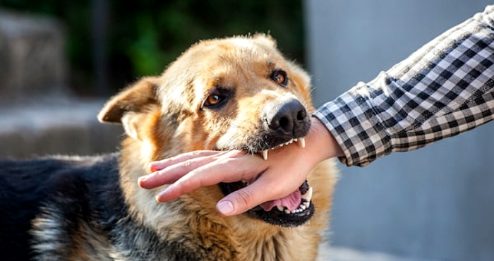 రేబిస్ సోకిన వ్యక్తి ప్రవర్తన ఎందుకు మారుతుంది?