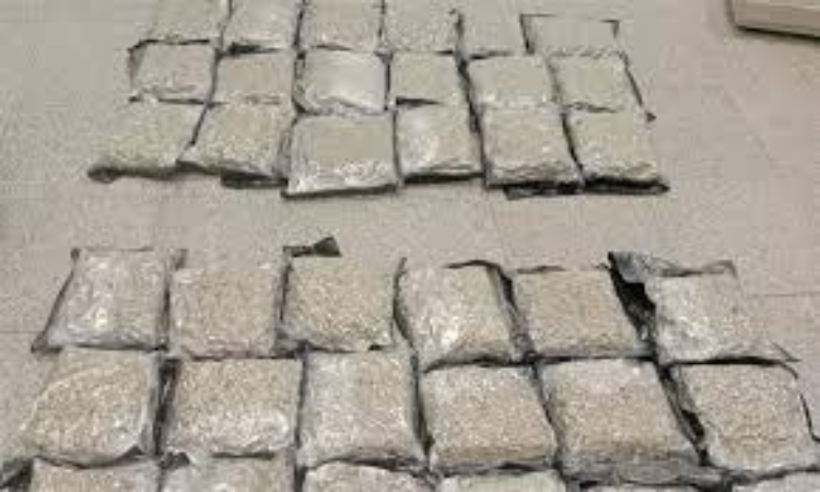 శంషాబాద్ విమానాశ్రయంలో భారీగా పట్టుబడ్డ గంజాయి