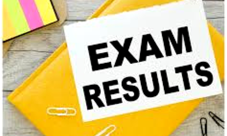 తెలంగాణ పదో తరగతి ఫలితాలు విడుదల: బాలికలదే పైచేయి